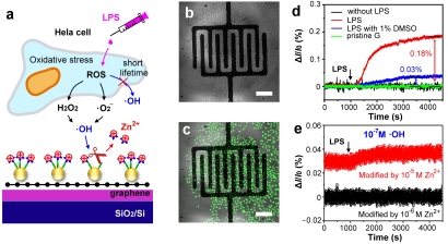 FIG-3